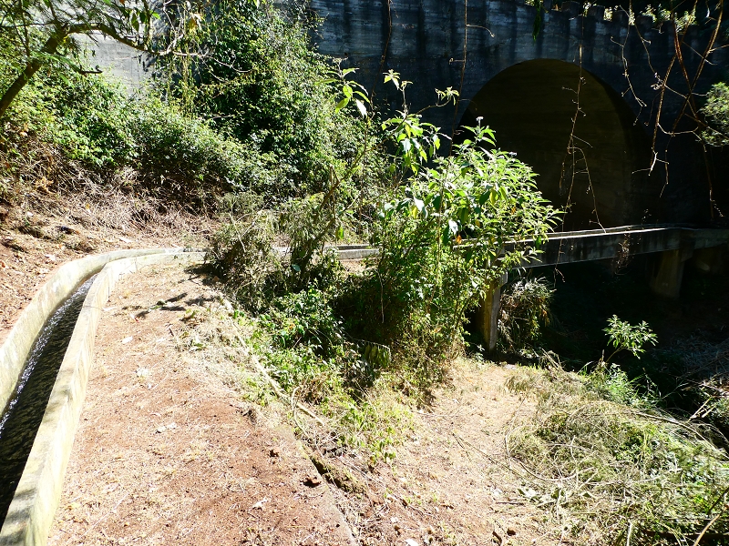 Levada do(s) Moinho(s) da Serra — Brückenpassage der Ribeira do Moreno — Foto 2