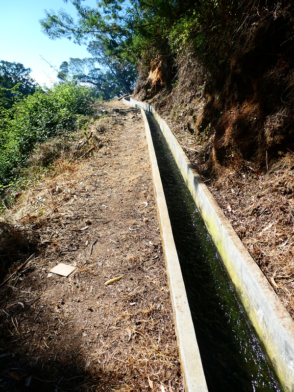 8 July 2018 Circular walk via the Levada do Moinho da Serra, Cascata Madre de Agua, Levada dos Tornos and Levada Nova de Santa Cruz — As far as the next watermill — photo 1
