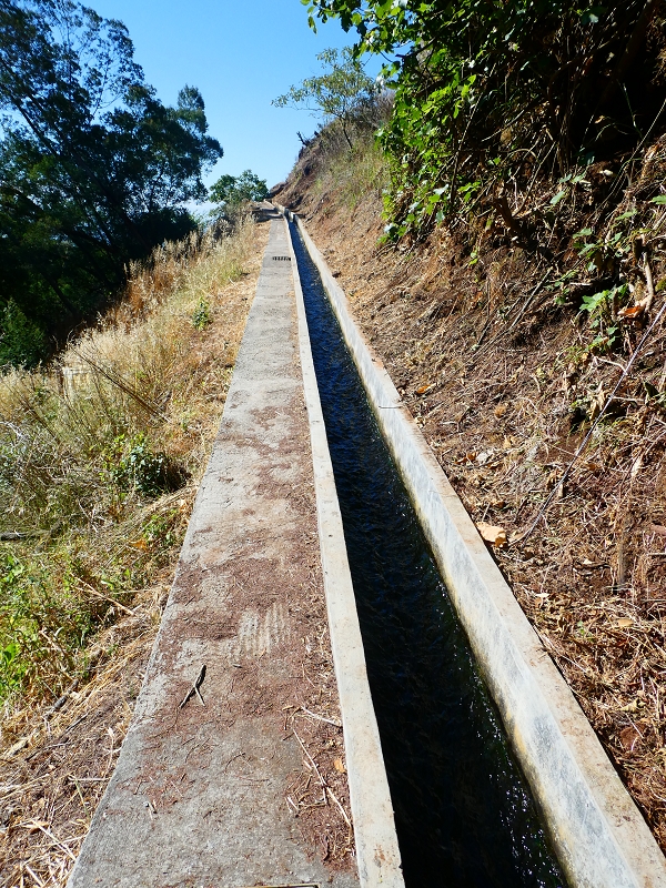 8 July 2018 Circular walk via the Levada do Moinho da Serra, Cascata Madre de Agua, Levada dos Tornos and Levada Nova de Santa Cruz — As far as the next watermill — photo 2
