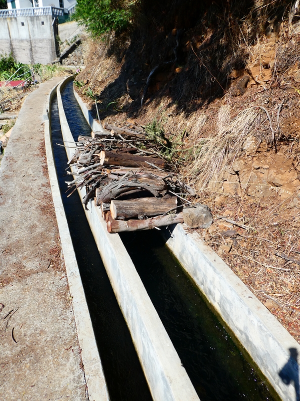 8 July 2018 Circular walk via the Levada do Moinho da Serra, Cascata Madre de Agua, Levada dos Tornos and Levada Nova de Santa Cruz — As far as the next watermill — photo 4