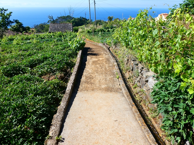 Levada do(s) Moinho(s) da Serra — Mitten durch bewohnte Gebiete — Foto 4