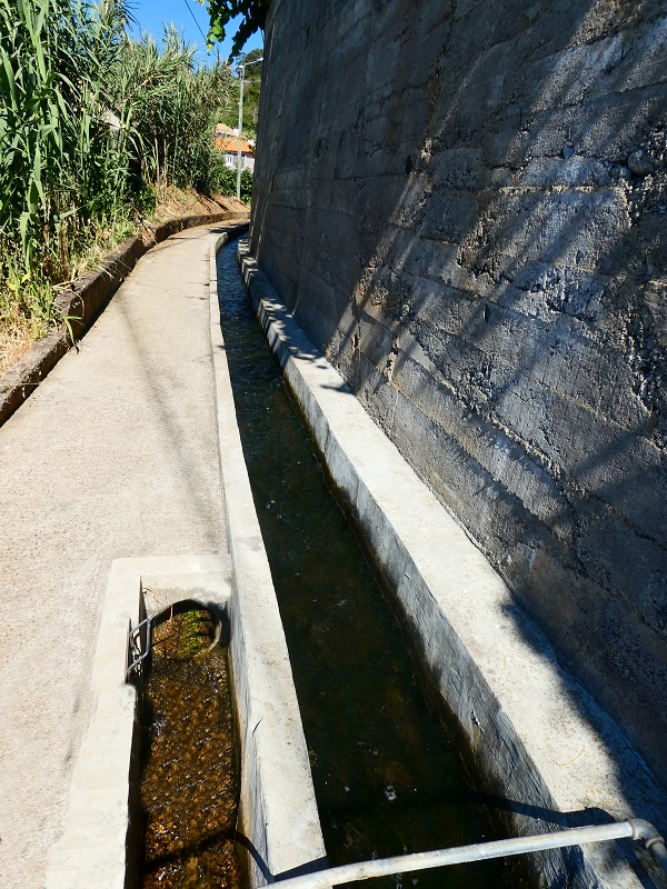 8 July 2018 Circular walk via the Levada do Moinho da Serra, Cascata Madre de Agua, Levada dos Tornos and Levada Nova de Santa Cruz — As far as the next watermill — photo 9