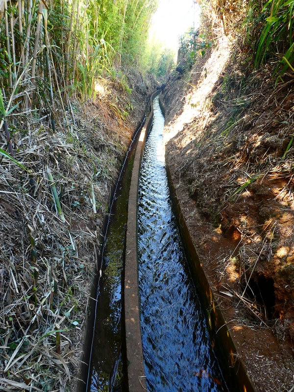 8 July 2018 Circular walk via the Levada do Moinho da Serra, Cascata Madre de Agua, Levada dos Tornos and Levada Nova de Santa Cruz — As far as the next watermill — photo 12