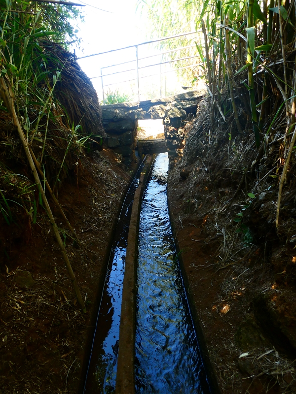 Levada do(s) Moinho(s) da Serra — Mitten durch bewohnte Gebiete — Foto 1