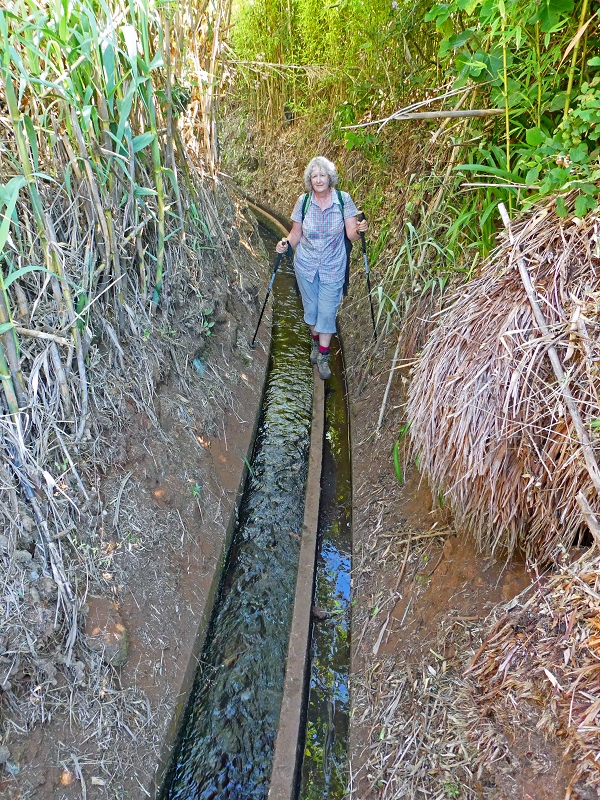 8 July 2018 Circular walk via the Levada do Moinho da Serra, Cascata Madre de Agua, Levada dos Tornos and Levada Nova de Santa Cruz — As far as the next watermill — photo 14