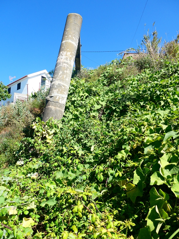 Levada do(s) Moinho(s) da Serra — Bis zur ersten Wassermühle — Foto 4