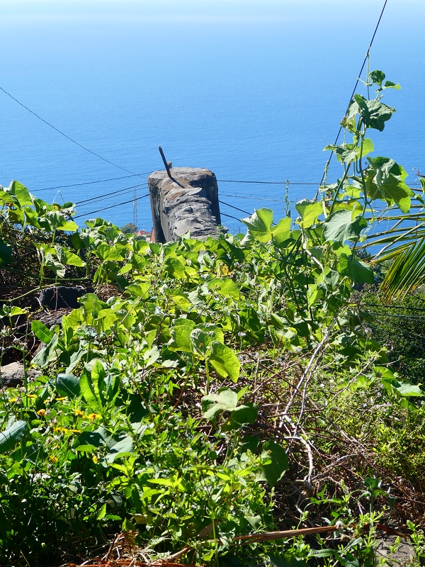 8 July 2018 Circular walk via the Levada do Moinho da Serra, Cascata Madre de Agua, Levada dos Tornos and Levada Nova de Santa Cruz — As far as the next watermill — photo 19