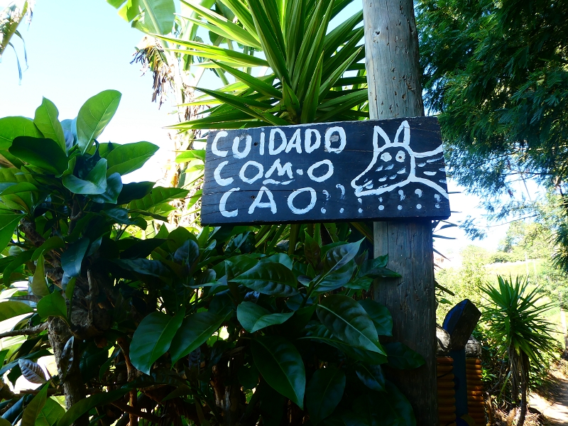 8 July 2018 Circular walk via the Levada do Moinho da Serra, Cascata Madre de Agua, Levada dos Tornos and Levada Nova de Santa Cruz — As far as the junction with the Rua Lombo dos Moinhos — photo 3