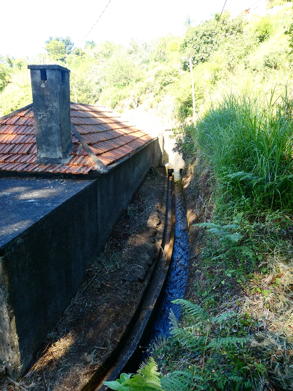 8 July 2018 Circular walk via the Levada do Moinho da Serra, Cascata Madre de Agua, Levada dos Tornos and Levada Nova de Santa Cruz — As far as the junction with the Rua Lombo dos Moinhos — photo 4