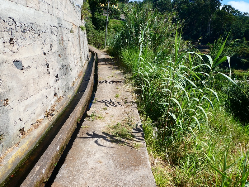 8 July 2018 Circular walk via the Levada do Moinho da Serra, Cascata Madre de Agua, Levada dos Tornos and Levada Nova de Santa Cruz — As far as the junction with the Rua Lombo dos Moinhos — photo 6