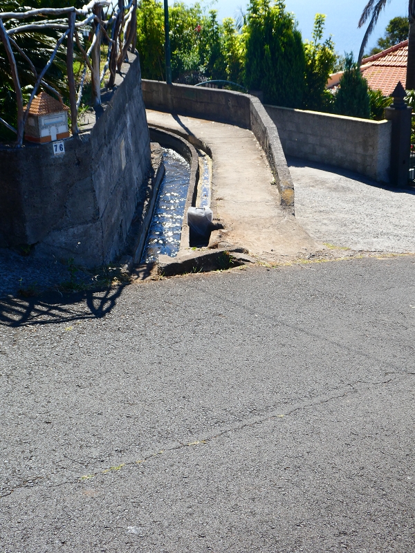 8 July 2018 Circular walk via the Levada do Moinho da Serra, Cascata Madre de Agua, Levada dos Tornos and Levada Nova de Santa Cruz — As far as the junction with the Rua Lombo dos Moinhos — photo 7