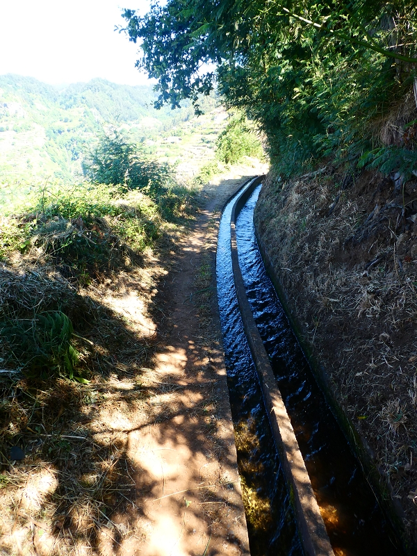 8 July 2018 Circular walk via the Levada do Moinho da Serra, Cascata Madre de Agua, Levada dos Tornos and Levada Nova de Santa Cruz — To the inflow from the Levada Nova — photo 1
