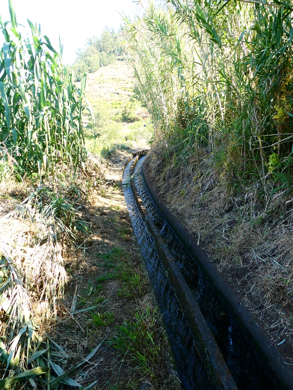 8 July 2018 Circular walk via the Levada do Moinho da Serra, Cascata Madre de Agua, Levada dos Tornos and Levada Nova de Santa Cruz — To the inflow from the Levada Nova — photo 3