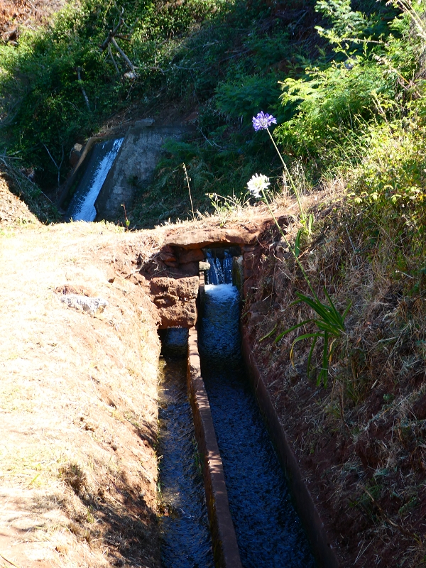 8 July 2018 Circular walk via the Levada do Moinho da Serra, Cascata Madre de Agua, Levada dos Tornos and Levada Nova de Santa Cruz — To the inflow from the Levada Nova — photo 4