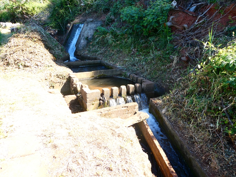 8 July 2018 Circular walk via the Levada do Moinho da Serra, Cascata Madre de Agua, Levada dos Tornos and Levada Nova de Santa Cruz — To the inflow from the Levada Nova — photo 5