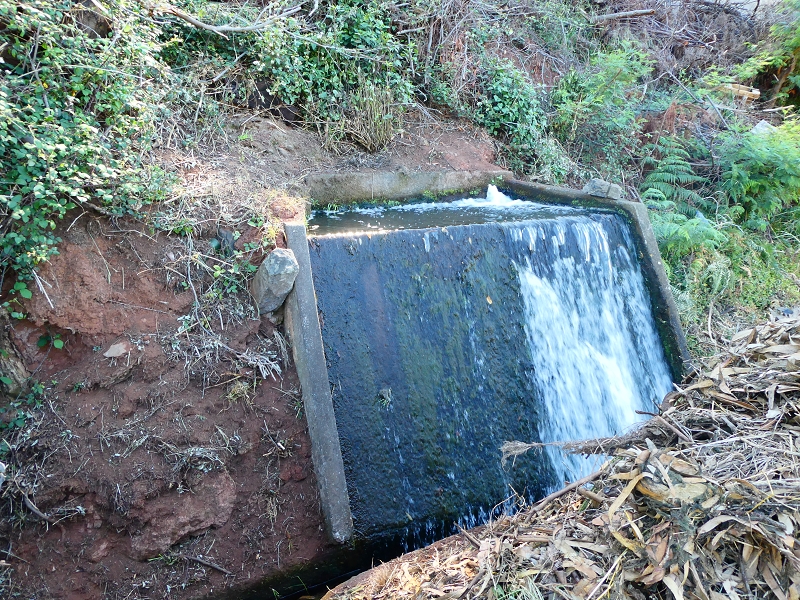 8 July 2018 Circular walk via the Levada do Moinho da Serra, Cascata Madre de Agua, Levada dos Tornos and Levada Nova de Santa Cruz — To the inflow from the Levada Nova — photo 6