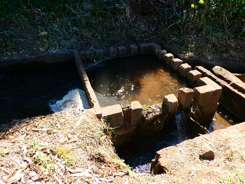 8 July 2018 Circular walk via the Levada do Moinho da Serra, Cascata Madre de Agua, Levada dos Tornos and Levada Nova de Santa Cruz — To the inflow from the Levada Nova — photo 7