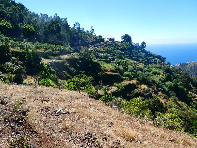 8 July 2018 Circular walk via the Levada do Moinho da Serra, Cascata Madre de Agua, Levada dos Tornos and Levada Nova de Santa Cruz — To the Madre of the Levada do Moinho da Serra at Ponta de Roma — photo 2