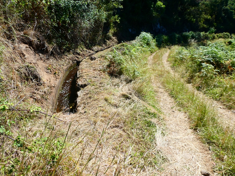 8 July 2018 Circular walk via the Levada do Moinho da Serra, Cascata Madre de Agua, Levada dos Tornos and Levada Nova de Santa Cruz — To the Madre of the Levada do Moinho da Serra at Ponta de Roma — photo 8