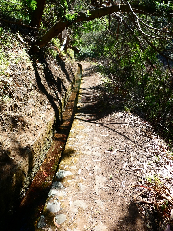 8 July 2018 Circular walk via the Levada do Moinho da Serra, Cascata Madre de Agua, Levada dos Tornos and Levada Nova de Santa Cruz — To the Madre of the Levada do Moinho da Serra at Ponta de Roma — photo 9
