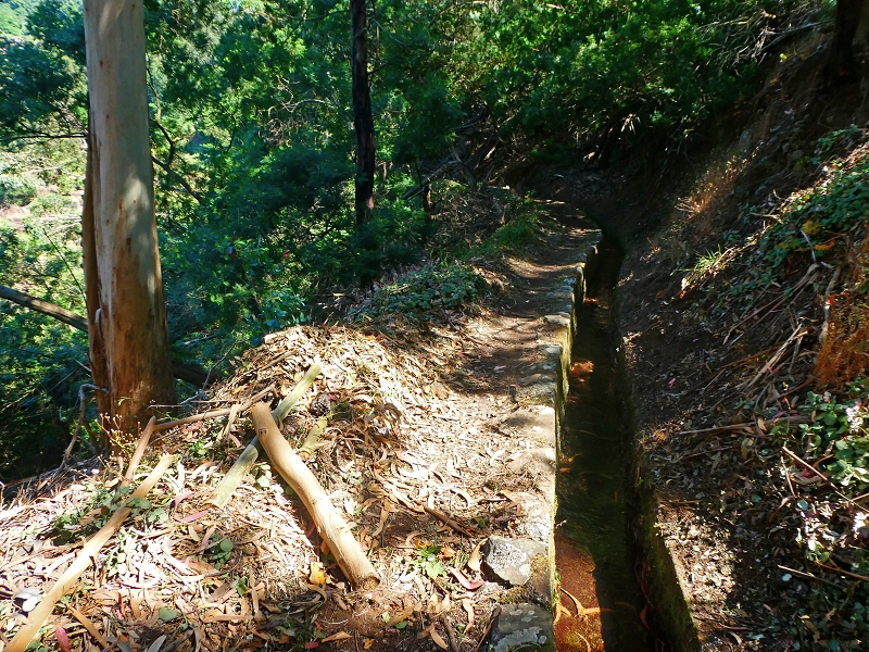 8 July 2018 Circular walk via the Levada do Moinho da Serra, Cascata Madre de Agua, Levada dos Tornos and Levada Nova de Santa Cruz — To the Madre of the Levada do Moinho da Serra at Ponta de Roma — photo 10