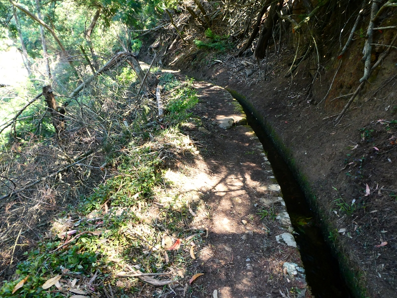 8 July 2018 Circular walk via the Levada do Moinho da Serra, Cascata Madre de Agua, Levada dos Tornos and Levada Nova de Santa Cruz — To the Madre of the Levada do Moinho da Serra at Ponta de Roma — photo 11
