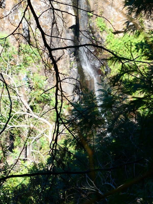 8 July 2018 Circular walk via the Levada do Moinho da Serra, Cascata Madre de Agua, Levada dos Tornos and Levada Nova de Santa Cruz — To the Madre of the Levada do Moinho da Serra at Ponta de Roma — photo 12