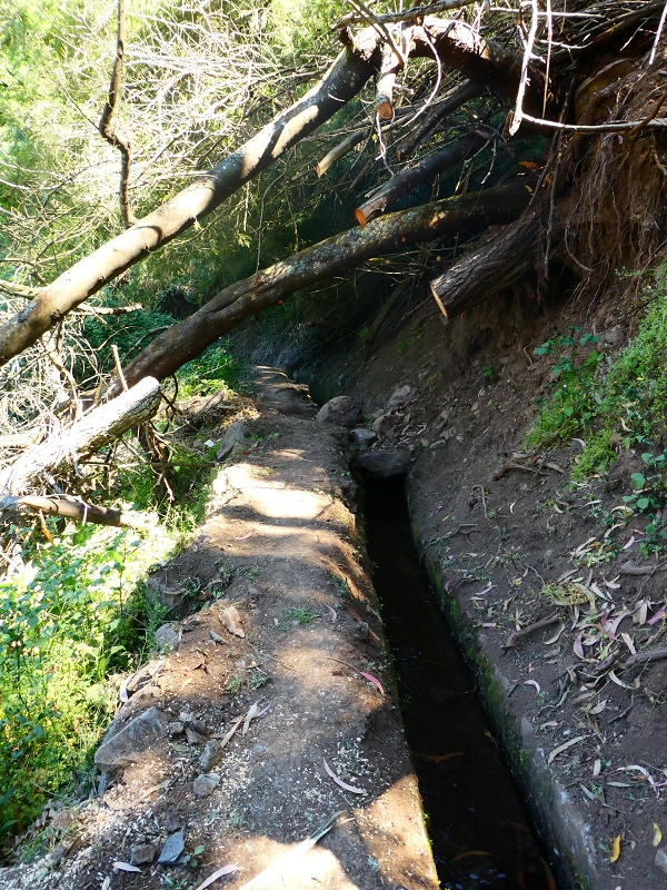 8 July 2018 Circular walk via the Levada do Moinho da Serra, Cascata Madre de Agua, Levada dos Tornos and Levada Nova de Santa Cruz — To the Madre of the Levada do Moinho da Serra at Ponta de Roma — photo 13