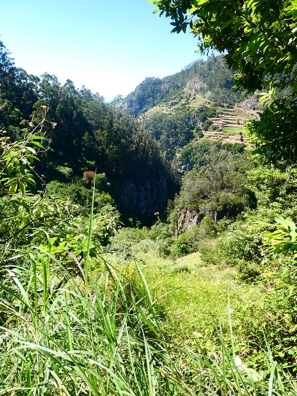 8 July 2018 Circular walk via the Levada do Moinho da Serra, Cascata Madre de Agua, Levada dos Tornos and Levada Nova de Santa Cruz — To the Madre of the Levada do Moinho da Serra at Ponta de Roma — photo 14