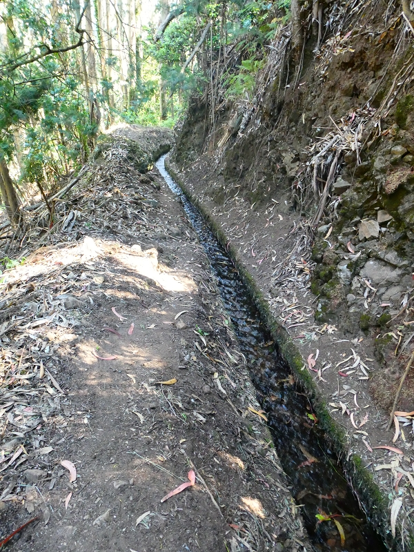 8 July 2018 Circular walk via the Levada do Moinho da Serra, Cascata Madre de Agua, Levada dos Tornos and Levada Nova de Santa Cruz — To the Madre of the Levada do Moinho da Serra at Ponta de Roma — photo 15