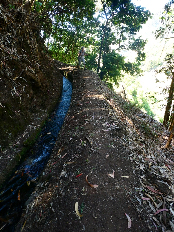 8 July 2018 Circular walk via the Levada do Moinho da Serra, Cascata Madre de Agua, Levada dos Tornos and Levada Nova de Santa Cruz — To the Madre of the Levada do Moinho da Serra at Ponta de Roma — photo 16
