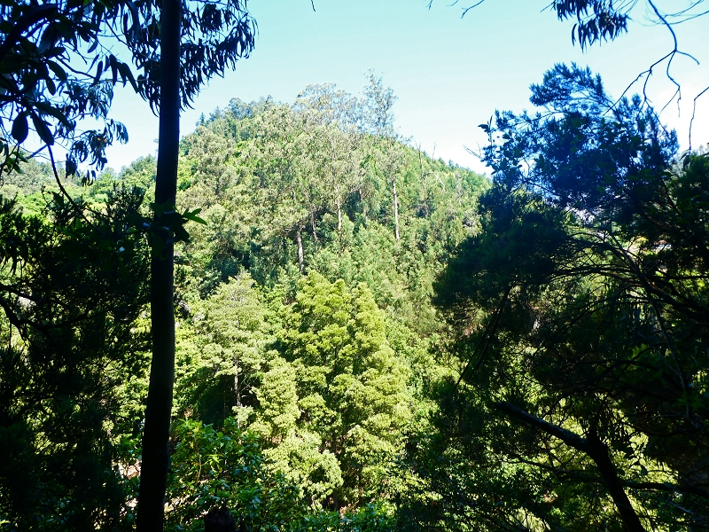 8 July 2018 Circular walk via the Levada do Moinho da Serra, Cascata Madre de Agua, Levada dos Tornos and Levada Nova de Santa Cruz — To the Madre of the Levada do Moinho da Serra at Ponta de Roma — photo 17