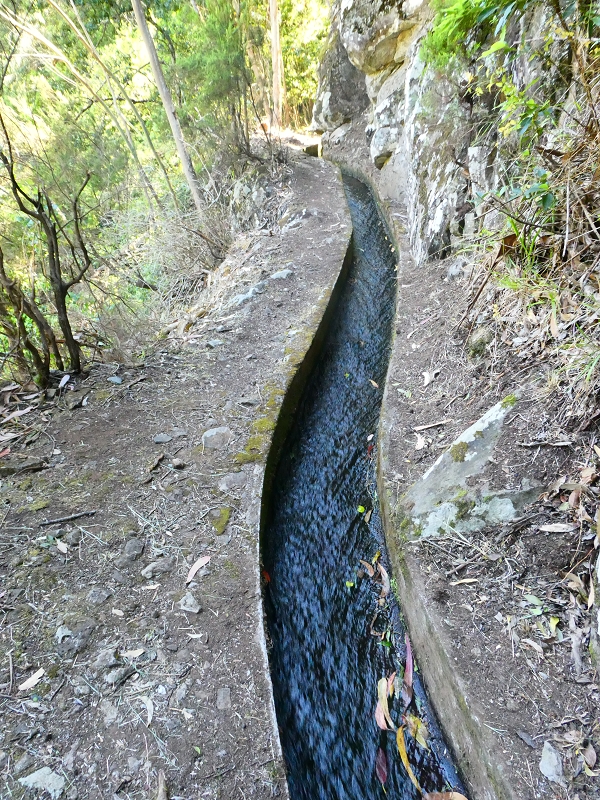 8 July 2018 Circular walk via the Levada do Moinho da Serra, Cascata Madre de Agua, Levada dos Tornos and Levada Nova de Santa Cruz — To the Madre of the Levada do Moinho da Serra at Ponta de Roma — photo 18