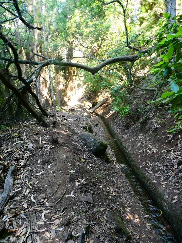 8 July 2018 Circular walk via the Levada do Moinho da Serra, Cascata Madre de Agua, Levada dos Tornos and Levada Nova de Santa Cruz — To the Madre of the Levada do Moinho da Serra at Ponta de Roma — photo 19