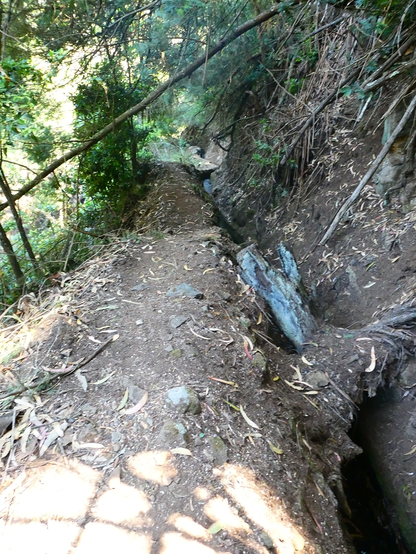 8 July 2018 Circular walk via the Levada do Moinho da Serra, Cascata Madre de Agua, Levada dos Tornos and Levada Nova de Santa Cruz — To the Madre of the Levada do Moinho da Serra at Ponta de Roma — photo 20