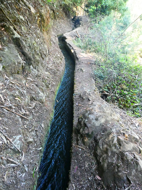 8 July 2018 Circular walk via the Levada do Moinho da Serra, Cascata Madre de Agua, Levada dos Tornos and Levada Nova de Santa Cruz — To the Madre of the Levada do Moinho da Serra at Ponta de Roma — photo 21