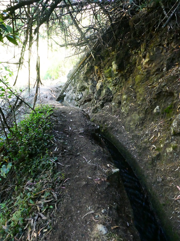 8 July 2018 Circular walk via the Levada do Moinho da Serra, Cascata Madre de Agua, Levada dos Tornos and Levada Nova de Santa Cruz — To the Madre of the Levada do Moinho da Serra at Ponta de Roma — photo 22