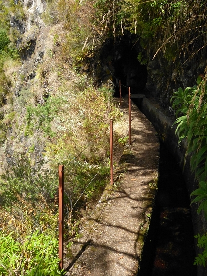 08.08.2012 Faja da Nogueira — Zum Ende der Levada da Serra do Faial — Foto 10