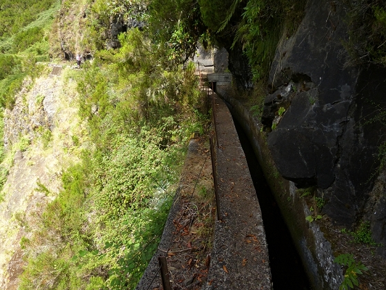 08.08.2012 Faja da Nogueira — Zum Ende der Levada da Serra do Faial — Foto 12