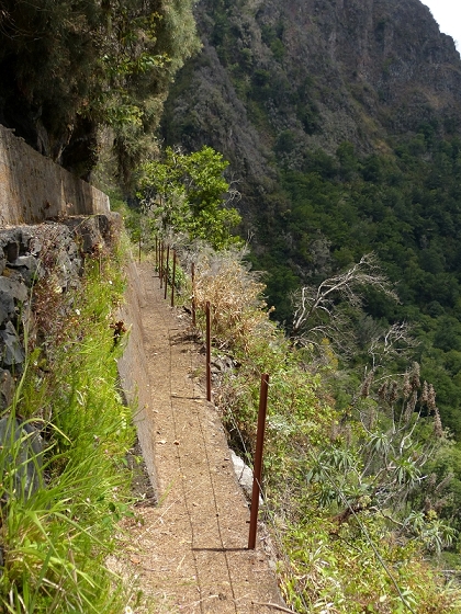08.08.2012 Faja da Nogueira — Zum Ende der Levada da Serra do Faial — Foto 19