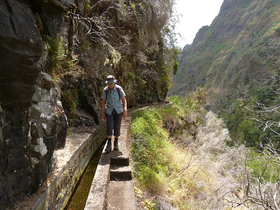 08.08.2012 Faja da Nogueira — Zum Ende der Levada da Serra do Faial — Foto 25