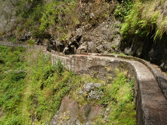 08.08.2012 Faja da Nogueira — Zum Ende der Levada da Serra do Faial — Foto 26