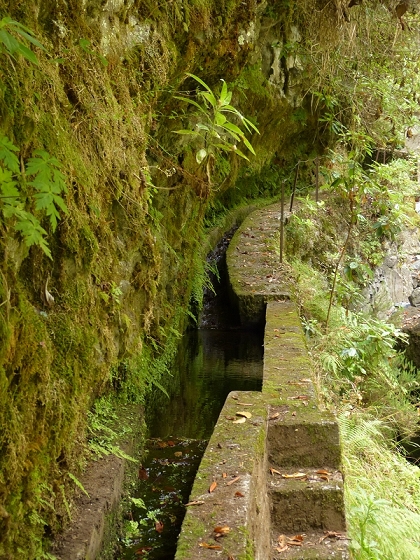 08.08.2012 Faja da Nogueira — Levada da Serra do Faial — Foto 1