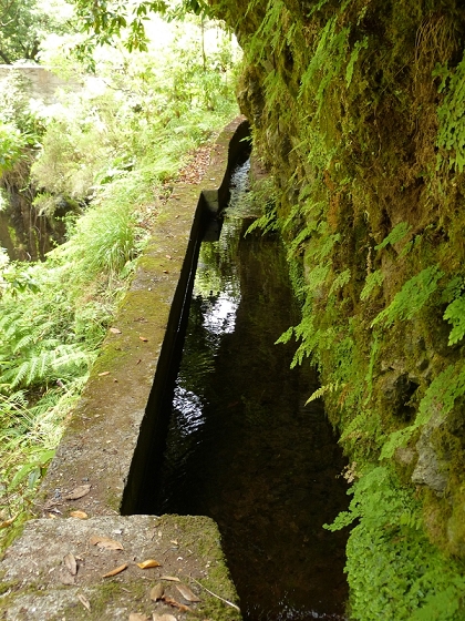08.08.2012 Faja da Nogueira — Levada da Serra do Faial — Foto 3