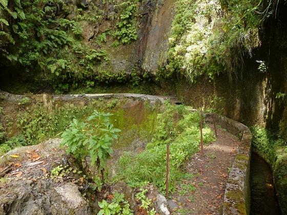 08.08.2012 Faja da Nogueira — Levada da Serra do Faial — Foto 5