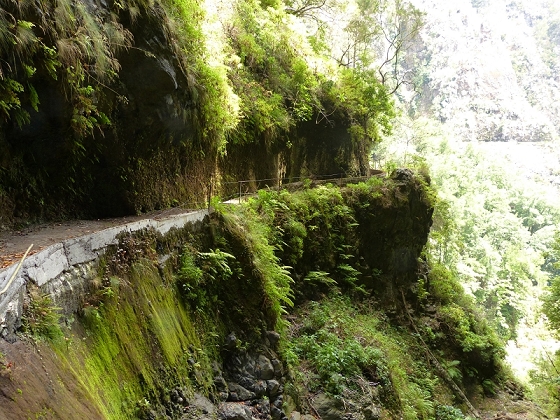 08.08.2012 Faja da Nogueira — Levada da Serra do Faial — Foto 6