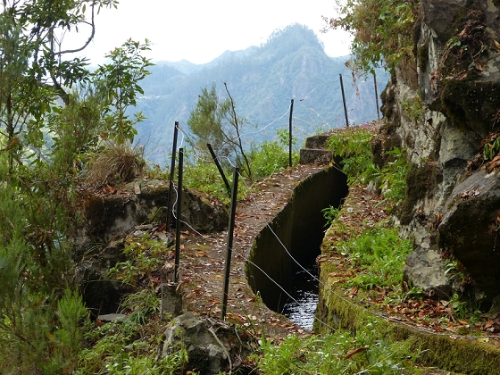 08.08.2012 Faja da Nogueira — Levada da Serra do Faial — Foto 9