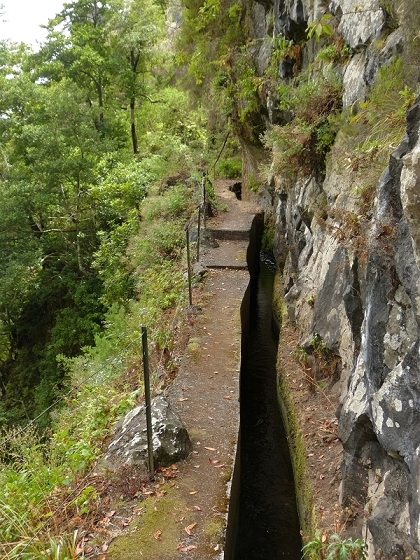 08.08.2012 Faja da Nogueira — Levada da Serra do Faial — Foto 10