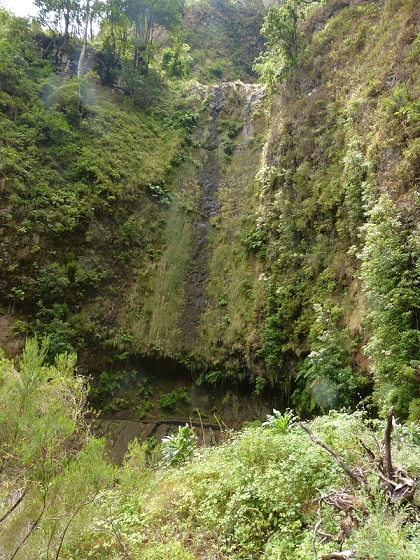 08.08.2012 Faja da Nogueira — Levada da Serra do Faial — Foto 11