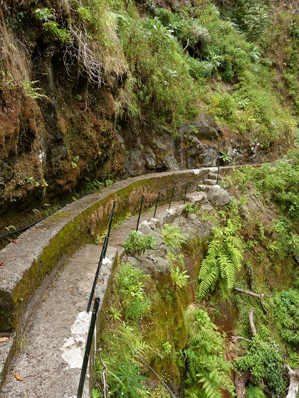 08.08.2012 Faja da Nogueira — Levada da Serra do Faial — Foto 14